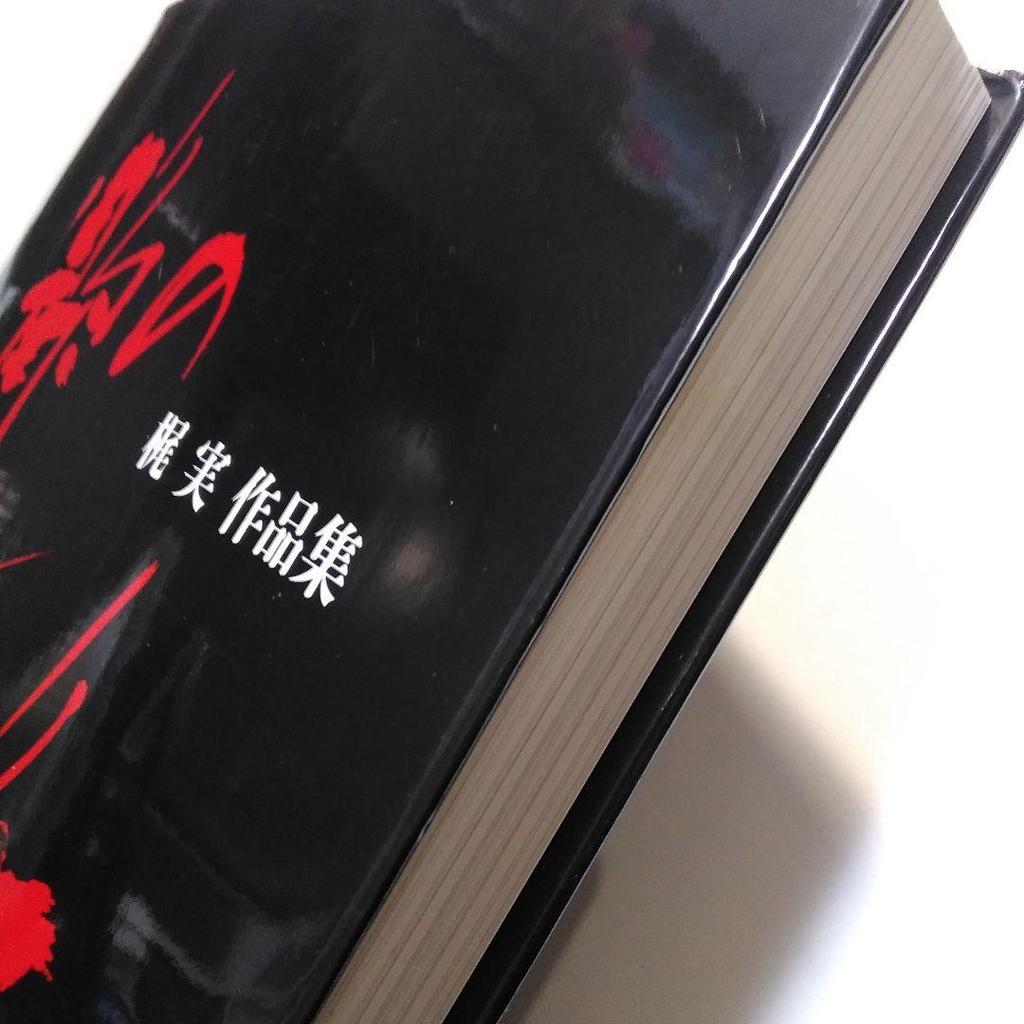 [USED] "Portrait of Elegance" A Collection of Kaji Minoru's Works