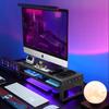 Luwei Double-Layer Monitor Riser Stand with Type-C Fast Charging