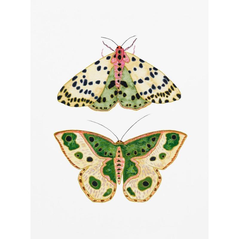 Watercolor Bug Butterflies Moths Poster Print Pastel Insect Canvas Painting Nature Wall Art Picture Nursery Kids Room Decor