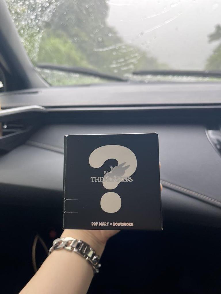 [USED] POP MART Lovebu The Monsters Almost Hidden