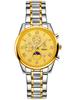 Yalalusi Luxury Gold Shell Roman Scale Multi-Function Men'S Watch, Three-Eye Chronograph Waterproof Business Watch