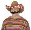 Mexican Straw Hat Mexican Sombrero Carnival Ball
