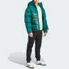 adidas Originals Adicolor Classics Daunen-Pufferjacke mit Kapuze Herren Oberbekleidung Grün IL2566