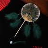 Chic Peacock Feather Round Fan Unique Antiquity Wedding Bride Hand Fan Shooting Props Home Decor