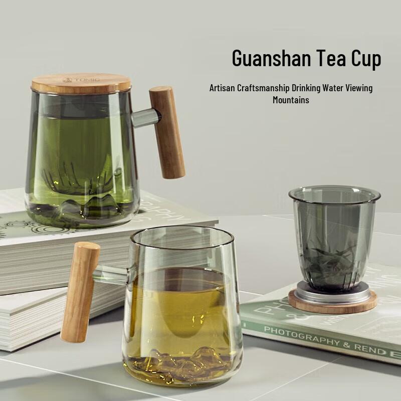 TEMEKE 440ml Glass Tea Infuser Bottle