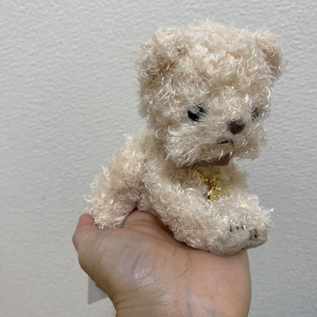 [USED] Sold out! Hashino Kurumi Teddy Bear Afternoon Tea