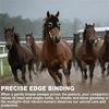 Horse Wind Resistant Eye Mask Tear Resistant Horse Eyewears Protective Eye Shield Block for Training And Shows