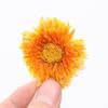 Chinese Marigold Tea Female Herbal Flower Calendula Officinalis Tea