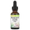 Gotas Auriculares de Alho e Verbasco, 30ml (1 fl oz)