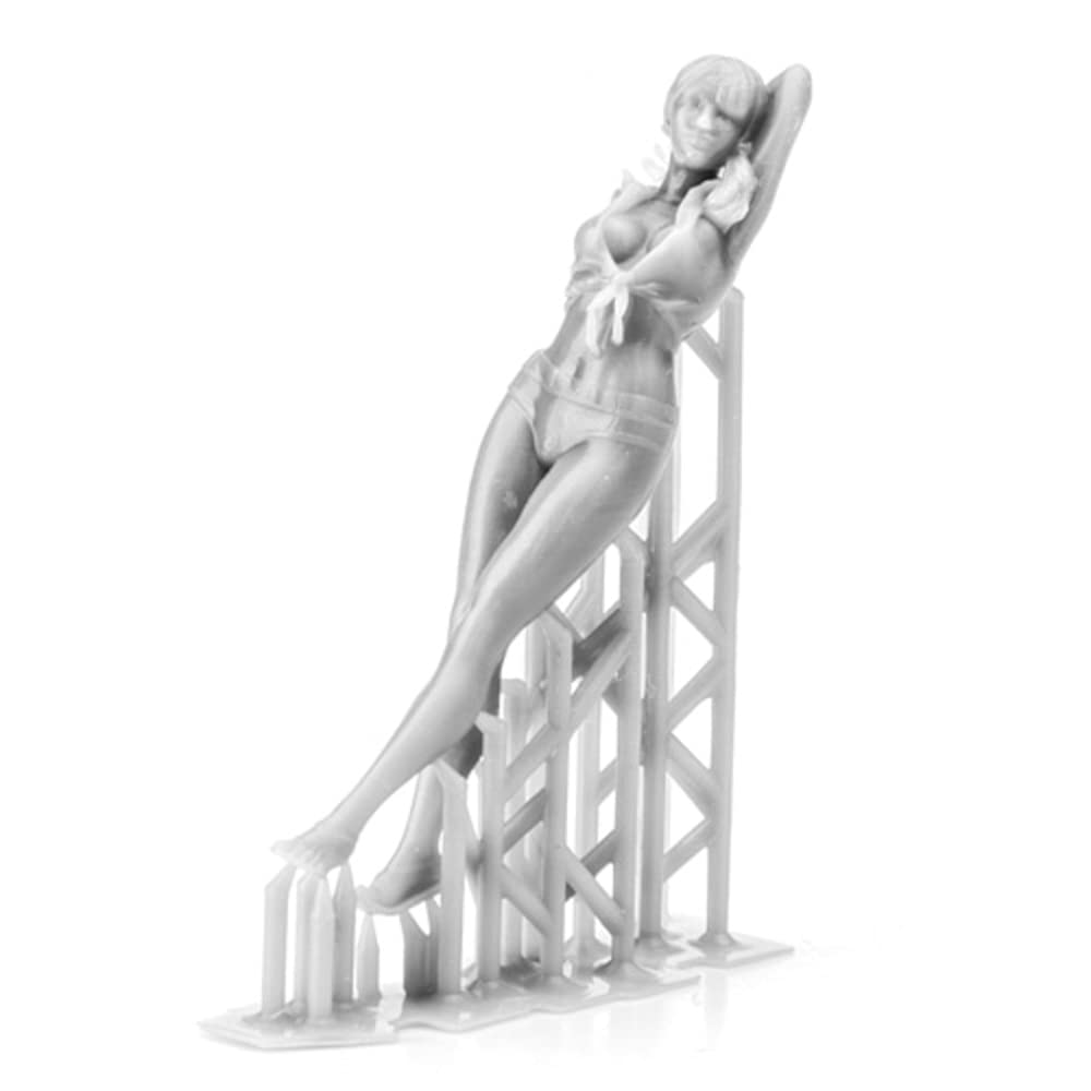 Sol Model Jiina In Boylegs Resin Kit C730 1/35 (3D Print)
