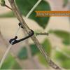 Grape Vine Branch Clip Hook