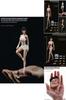 Exquisite 1/12 Scale Female Seamless Body Ideal For Collectible Decoration And Gifts