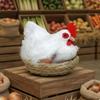Modello di Pollo Figurine Maschile Fatta a Mano Animale Piumato per Esposizione al Supermercato, Fattoria