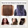 Hair Dye Shampoo, Polar Hair Care 3 In 1 Instant Hair Dye Shampoo, Natural Hair Dye Shampoo for Women Men, Hair Color Shampoo for All Hair Types 200ML