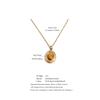 Yhpup Exquisite Natural Stone Agate Tiger Pendant France Necklace for Women Stainless Steel Trending Charm Jewelry