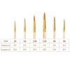 6 Pack Nylon Hair Art Paint Brushes Different Sizes Tips for Acrylic Oil Watercolor Face Rock Painting Art Students Gift