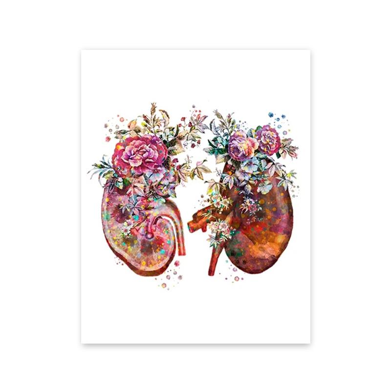 Bunte Anatomie Kunst Blume Organe Herz Lunge Poster und Drucke Medizinische Bildung Wand Kunst Leinwand Malerei Home Dekoration Geschenk