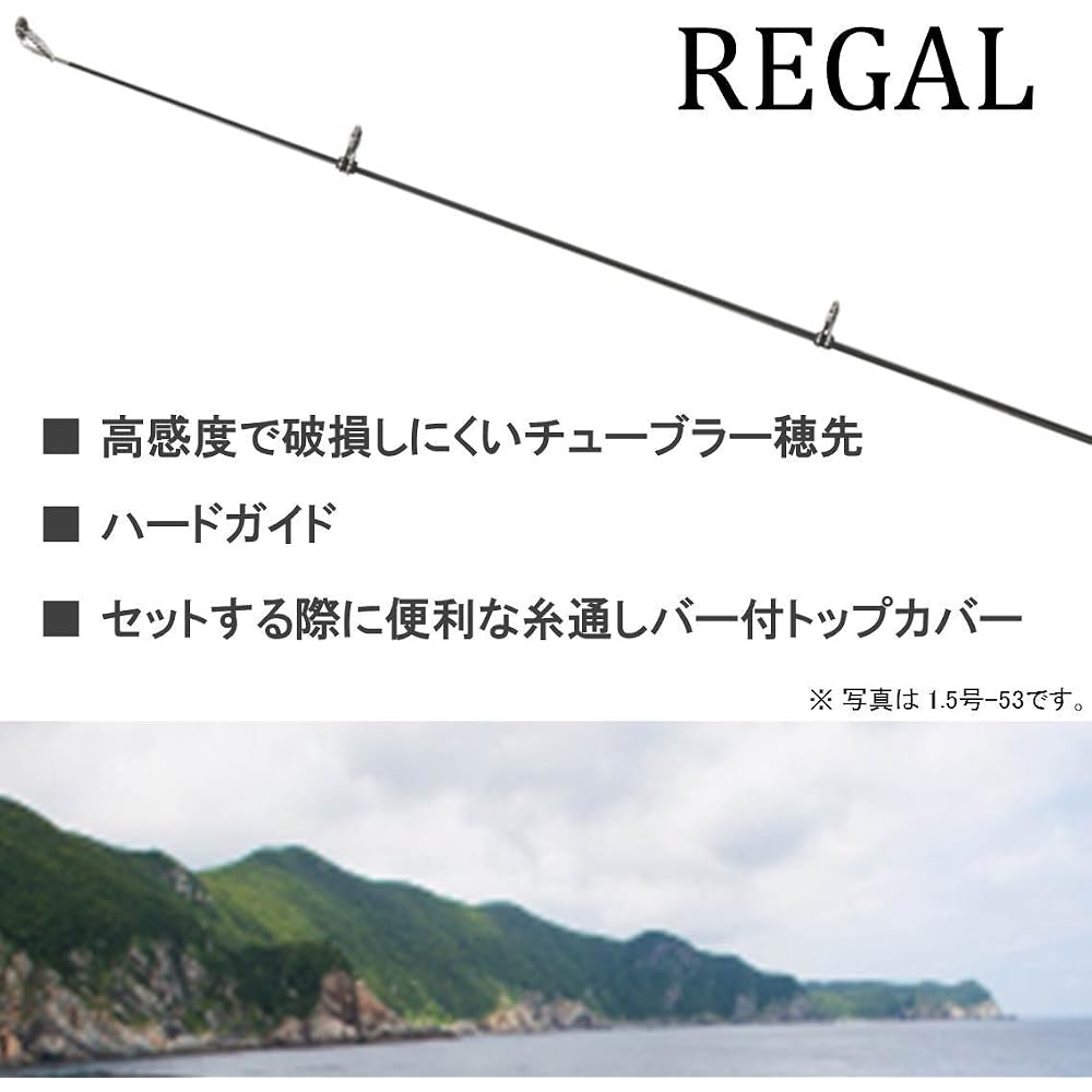 Daiwa Regal 5-53 Surfcasting Fishing Rod Black Lightweight Durable Design