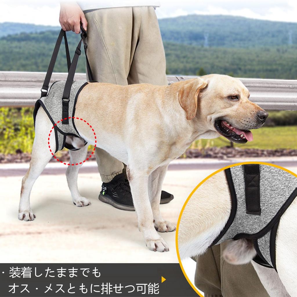 Refoiner Dog Walking Assistance Harness with Hind Leg Dog Harness with Hind Leg Support Suitable for and Large and Other Pet Supplies Harness,