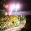 XADMIN LED Back Lamp, T15 / T16 W16W Lamp, CANBUS 45 Row 4014 SMD