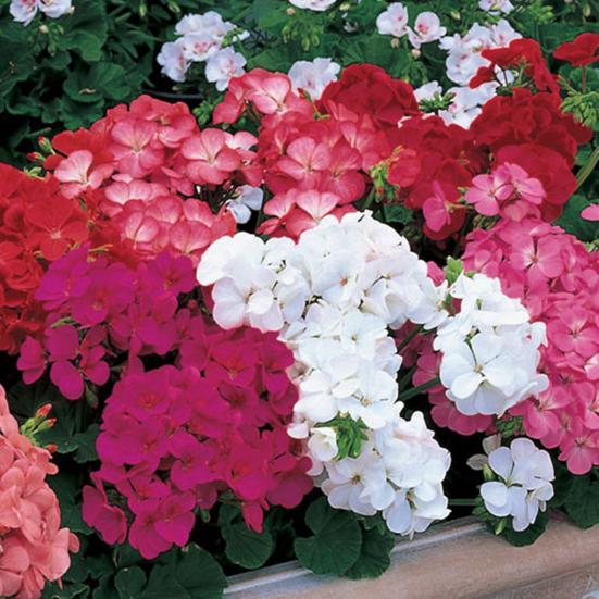 Acrobatic Clown Figurine Resin Desktop Clown Sculpture Planter Decor Flowerpot Clown