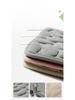 Pebble Embossed Water-Absorbent Non-Slip Door Mat – Cute, Durable Carpet for Bathroom and Entrance.