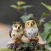 Moss -landscape creative green plant gift zakka resin bare-footed owl decorative ornaments