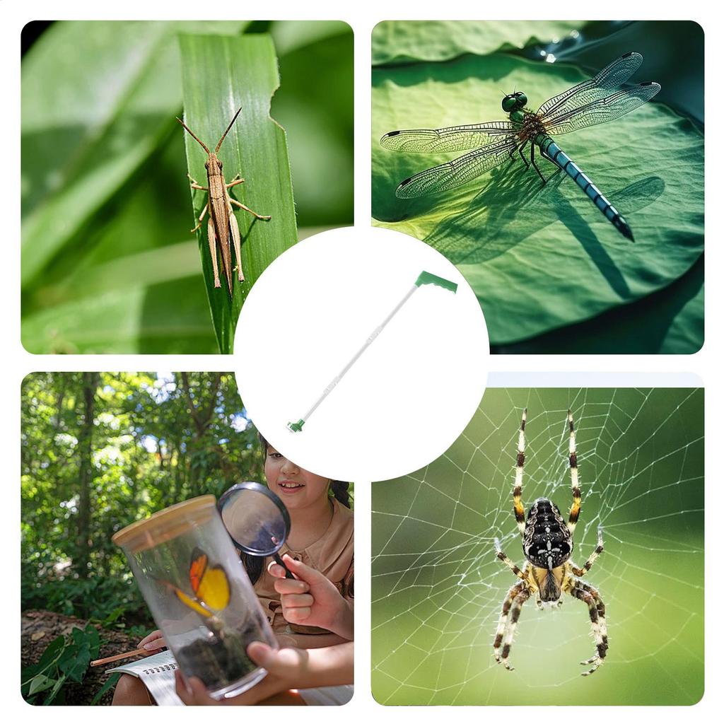 Long Handle Spider Catcher Handheld Humane Small Animals Quick Capture Tool for Balcony Yard Porch Patio Garden Outdoor