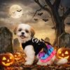 Soft Halloween Pet Cake Dress Comfortable Pet Skeleton Dress Dog Tutu Dress  Cosplay