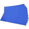 Ruhan Tearable Sticky Dust Mat