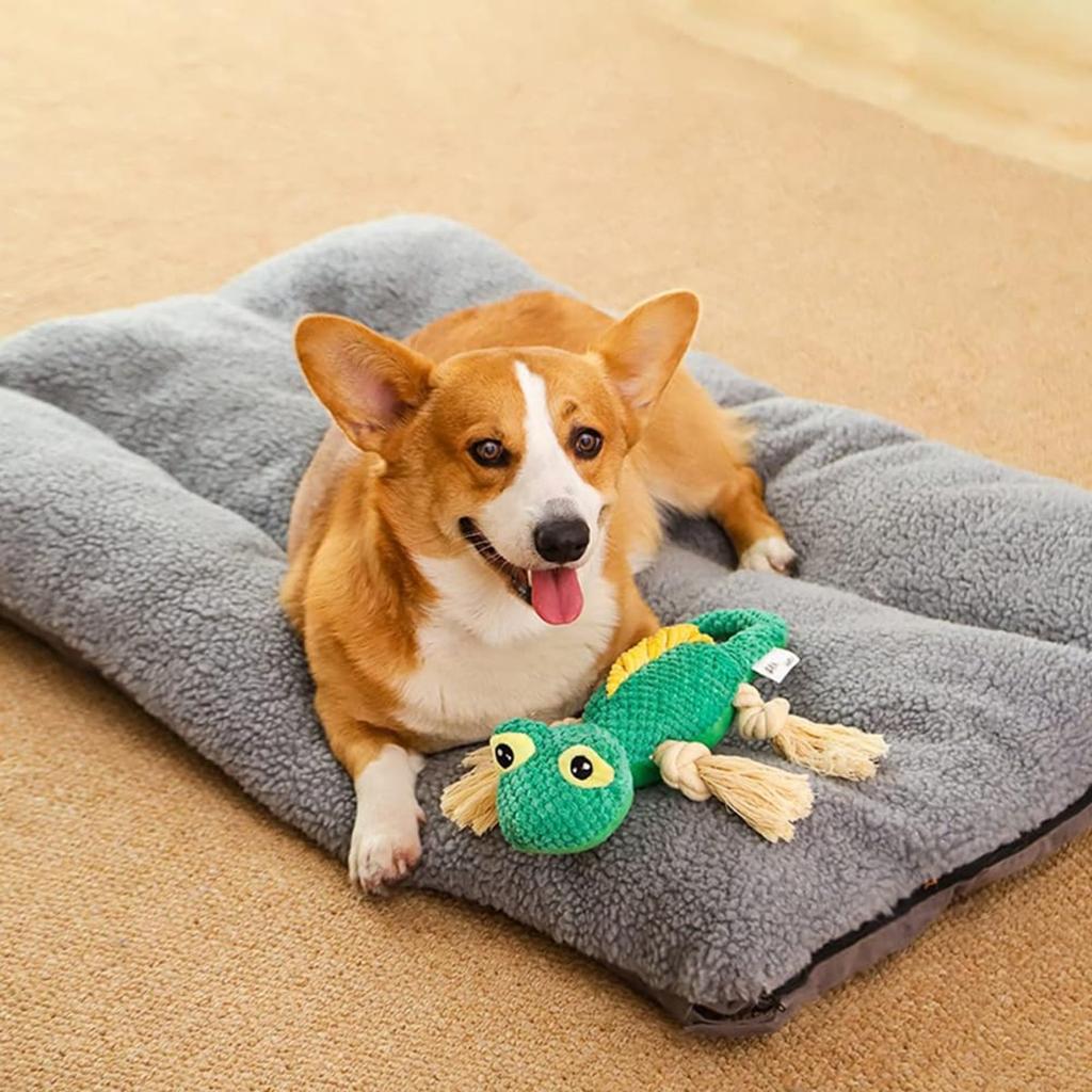 Husdjursleksak Ödleform Riv- och bitresistent, Skällande bitring Bomullsrep för att minska tristess Plyschleksak