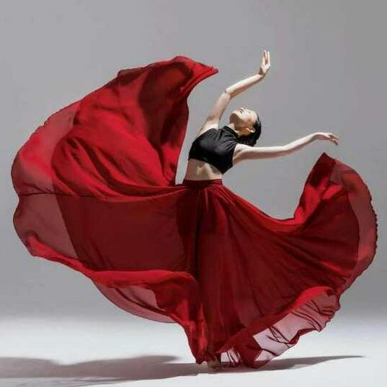Modern Ballet & Dance Chiffon Tulle Skirt for Women