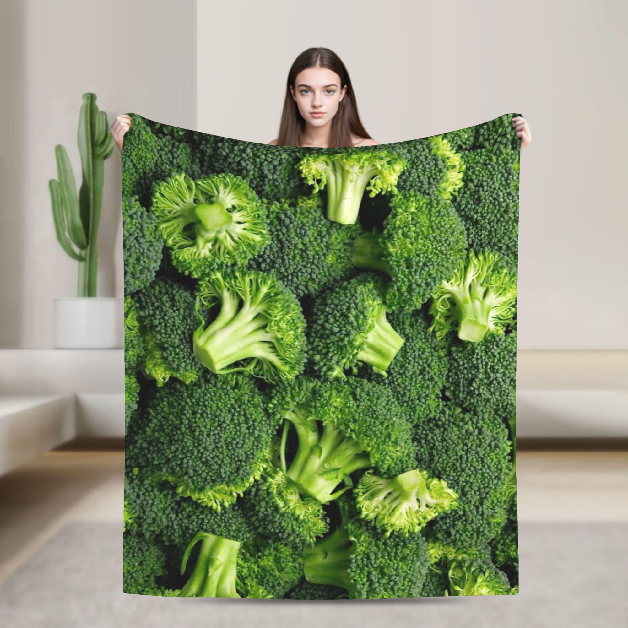

Delicious Food Pattern Pandan Leaf Weaving Blankets Fleece Textile Decor Portable Lightweight Throw Blankets for Bed 75x90cm