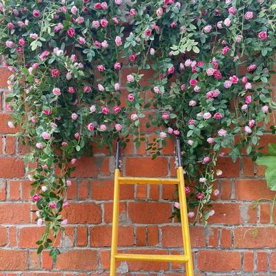 Deko & Wohnaccessoires – Künstliche Blumen & Kränze
