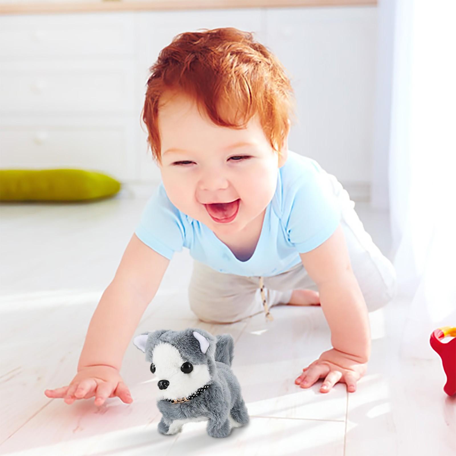 

Электрическая игрушка для собак Плюшевая мягкая удобная интересная реалистичная игрушка для собак One Size