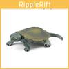 Wasserrreptiil Schildkröte PVC Modell Set Mit Realistischer Detaillierung Für Pädagogische Sammlung