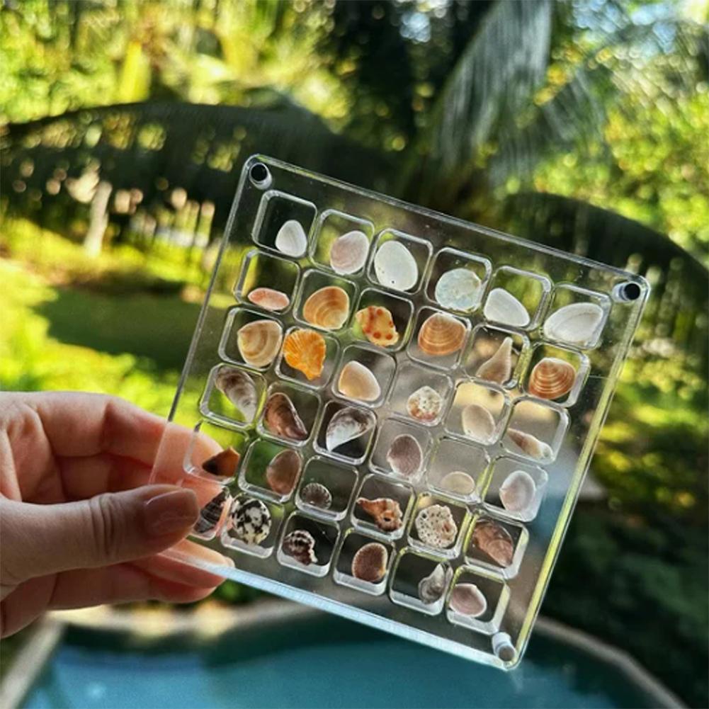 Acrylic Magnetic Seashell Display Box 36/64/100 Grids Rock Display Case Rock Collection Box for Bead Nail Jewelry
