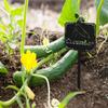 Waterproof Metal Seed Labels: Durable Garden Tags for Seedlings & Pots. Outdoor Decor.Durable for Pots & Vegetables.