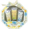 Cozy Company Hand Cream 3-Piece Special Care Set, Birthday Gift for Women, Small Gift, Flower Shower BL Scent, 172314