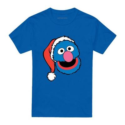 Sesame Street Unisex Adult Grover Santa Hat Christmas T-Shirt