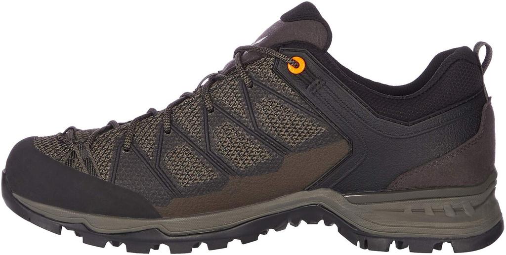 Hiking Shoes Salewa Mountain Trainer Lite GTX (61361)