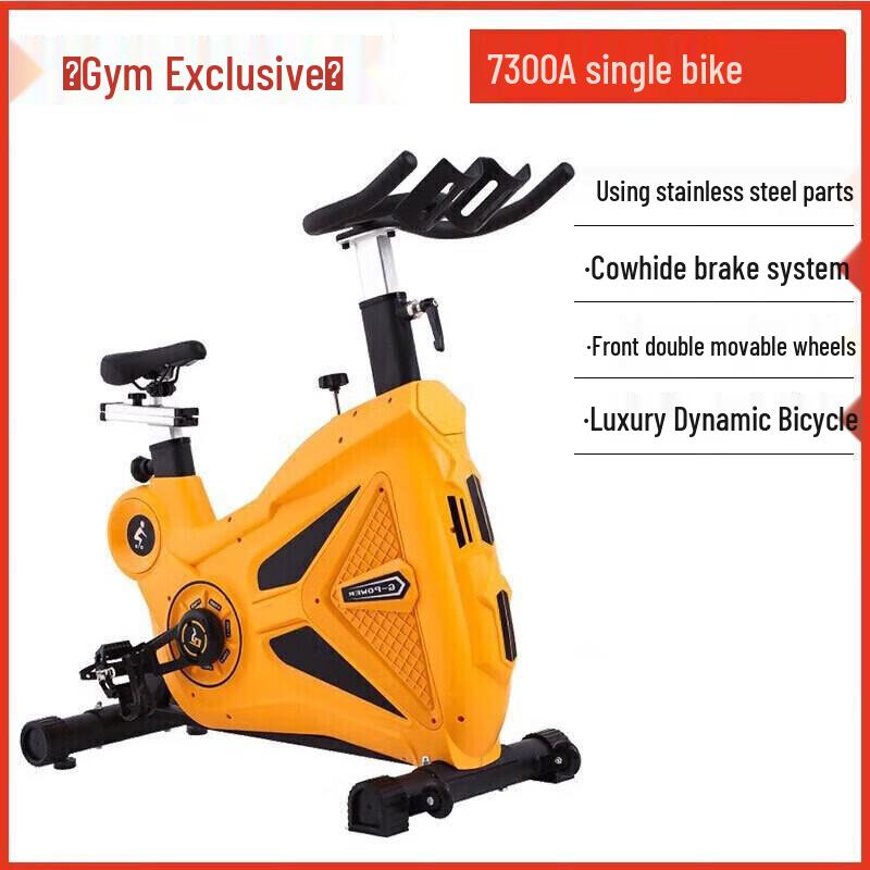 Yimai EM7300A Indoor Home Spin Bike