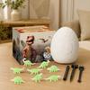 Dinosaur Egg Kit with Skeleton - 12 in the Dark or Large Dinosaur Eggs Archaeological Toy Random