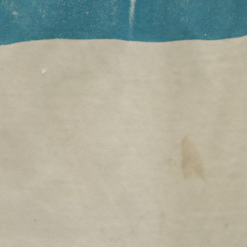 Hanes 90s Made in USA Old Message Print Short sleeve T-shirt Men's Used