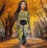 Long Sleeve Waist Tight Office Slim Fit Long Necked Animals Printing Elegant Bodycon Dress