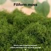 100/150/200/500/1000G Artificial Green Moss DIY Crafts Fairy Gardens Table Centerpieces