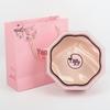 High-End Bird's Nest Gift Box: 50g, 100g, Half Pound, One Pound Transparent Packaging