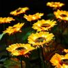 Solar Powered Sunflower Garden Lights Bright Sunflower LED Outdoor Decorative Post Lights Suitable For Yard, Terrace, IP65 , Great Gardening Gift