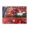 50Pcs Self Adhesive Cold Lamination Film Overlay Film  For Cricut Stickers Trading Cards Photos