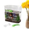 Tank For Turtles Clear Desk Fish Tank Turtle Tank Starter Ornamental Fish Bowl Multi-Function Areas Small Aquarium Aquarium